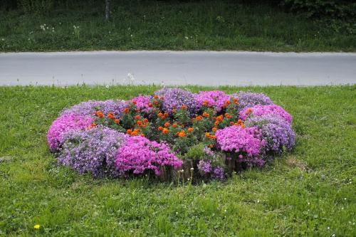 a bunch of purple and pink flowers in the grass at L&L Leisure Apartments Plitvice in Plitvička Jezera