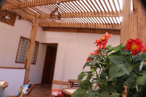 a plant in a room with a wooden ceiling at Hostal Luna del Mar 840-B in La Serena