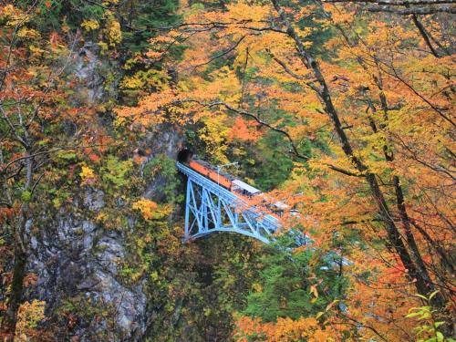 a train crossing a blue bridge in the forest at APA Hotel Uozu Ekimae in Uozu