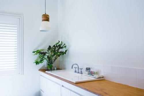 a white kitchen with a sink and a potted plant at Empire Spa Retreat in Dunsborough