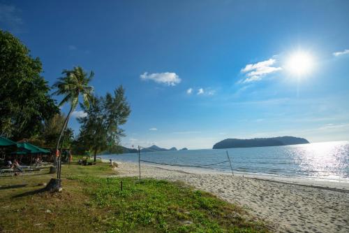 a beach with a palm tree and the ocean at Frangipani Langkawi Resort in Pantai Cenang