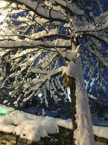 a tree covered in snow with a bird house at Garden Hotel Pasanauri since 1892 in Passanauri
