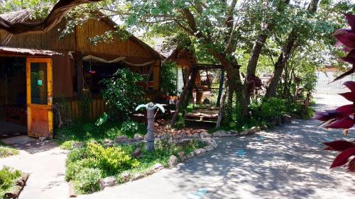 Elephant Trail Guesthouse and Backpackersにある庭