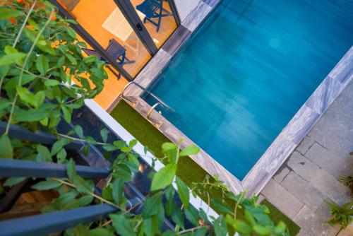 an overhead view of a swimming pool with plants at Le Printemps d' An Bang in Hoi An