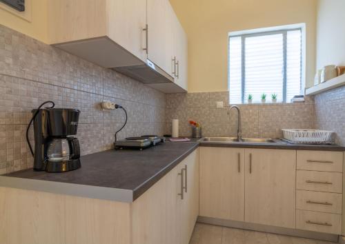 eine Küche mit einer Spüle und einer Arbeitsplatte in der Unterkunft Urban Jungle in Athen