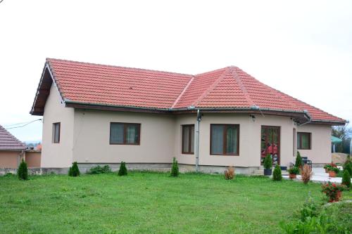 Κήπος έξω από το Casa Alin