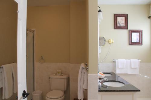 Un baño de Dundee Arms Inn