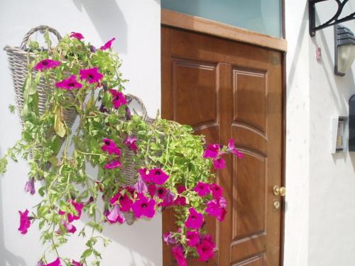 Gallery image of Bed And Roses in Montesilvano