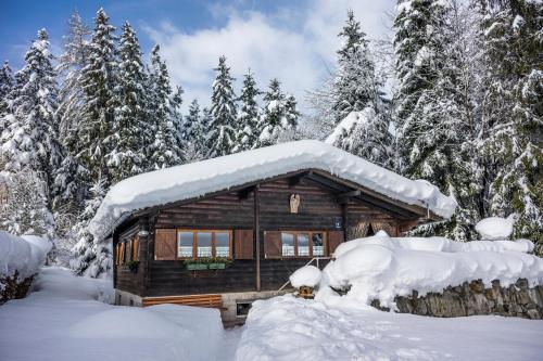 a log cabin covered in snow in the woods at Ferienhütte Puutz in Wörgl