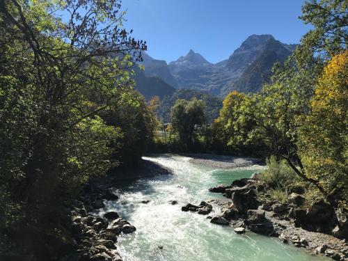 a river with trees and mountains in the background at Haus Cäcilia in Sankt Martin bei Lofer