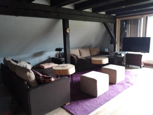 a living room with couches and tables and a television at Architect's Home Plitvice in Plitvička Jezera