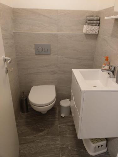 a bathroom with a white toilet and a sink at Architect's Home Plitvice in Plitvička Jezera