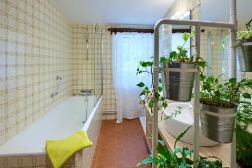baño con bañera y aseo con plantas en Chateau Ysard, en Camblanes-et-Meynac