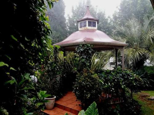 Κήπος έξω από το Silver Mist Guest House, Country Inn and Herberg