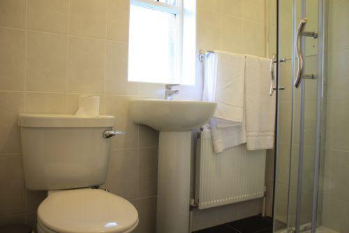 a bathroom with a toilet and a sink and a window at Desota House Bed and Breakfast in Galway