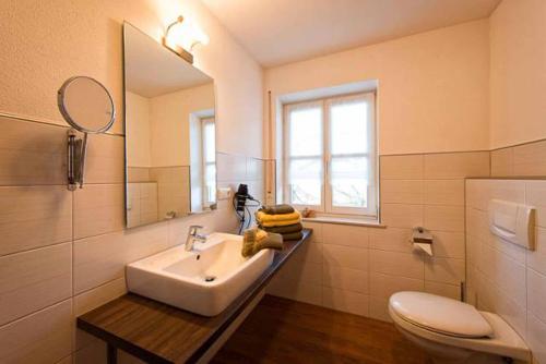 a bathroom with a sink and a toilet and a mirror at FrongaHOF in Waldkirchen
