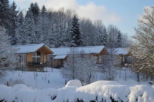 a log cabin in the snow with snow covered trees at FrongaHOF in Waldkirchen