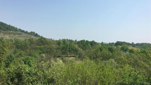a view of a hill with trees on it at I 5 Sensi Country in Brusnengo