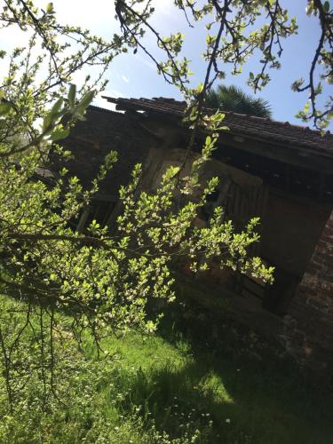 an old brick building with trees in front of it at I 5 Sensi Country in Brusnengo