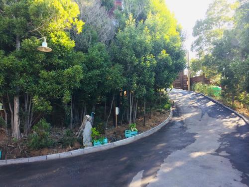 an empty street with trees on the side of the road at Cabaña del Bosque in Pichilemu