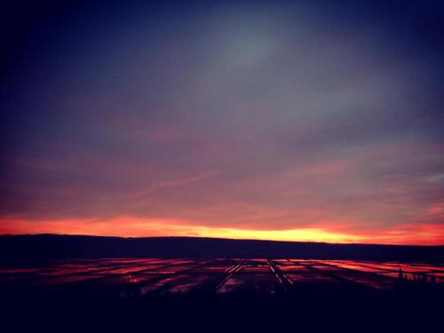 a sunset over a field with the sky at Apartments Gea in Lucija