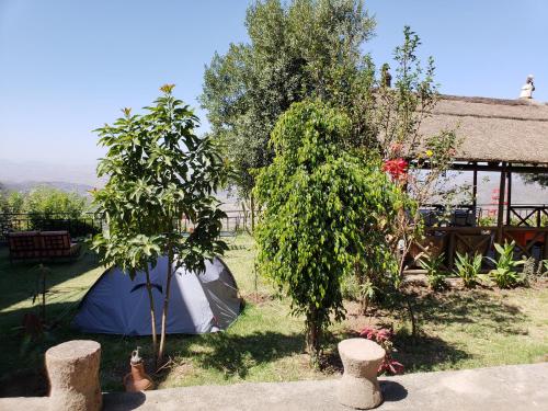Giardino di Top Twelve Hotel - Lalibela