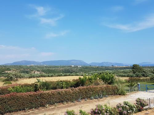 a view of a garden with mountains in the background at Villa Finiki Messinia upstairs in Foiníki