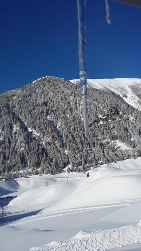 Appartement Falkner Manuel en invierno