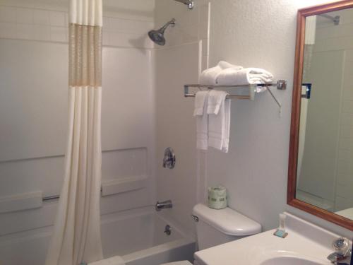 y baño con cortina de ducha, aseo y lavamanos. en Days Inn by Wyndham Morton, en Morton