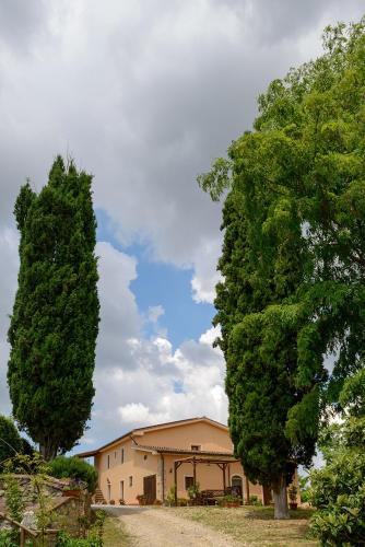 two large trees in front of a building at Agriturismo Pretenzano in Volterra