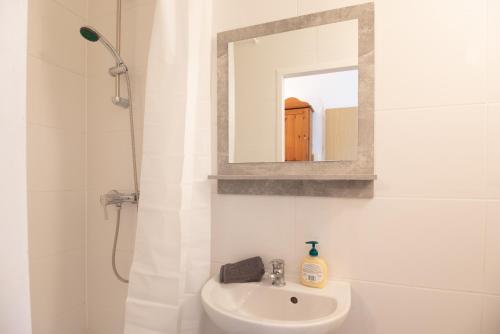 a white bathroom with a sink and a mirror at Vienna Living Apartments - Schnirchgasse in Vienna