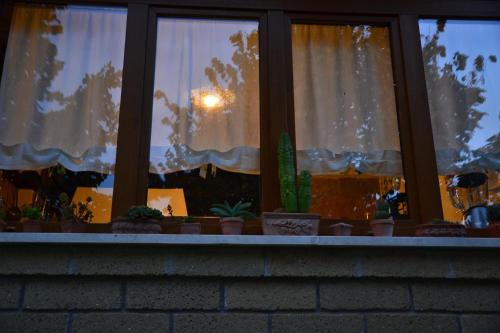 a window with potted plants sitting on a ledge at Il Casale Del Sogno in Ardea