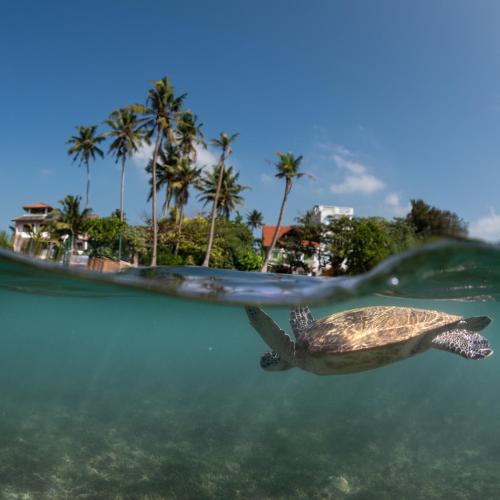 Beach Paradise – Photos 2