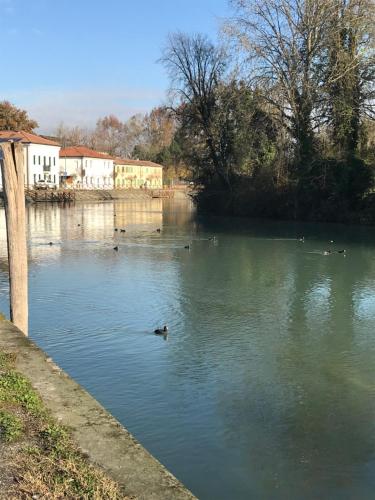 Vista de un río cerca de este apartamento