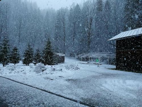 a snow covered yard with a building and trees at Penzion Black Sheeps Adventures in Wildalpen