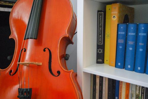 a violin sitting on a shelf next to books at Bb Tube in Genova