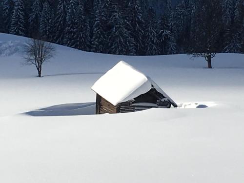 a tent covered in snow with trees in the background at Frühstückspension Rötelstein in Ramsau am Dachstein