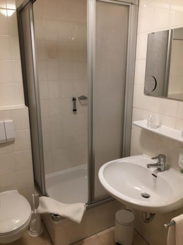a bathroom with a shower and a sink and a toilet at Hotel im Sonnental in Jachenau