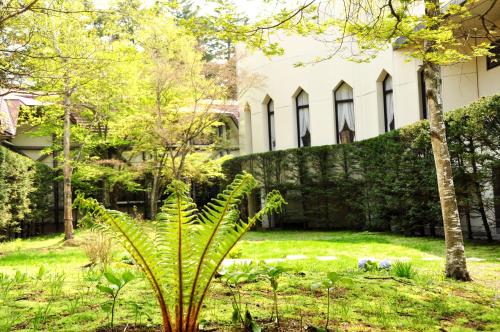 a plant in a yard in front of a building at Hotel Marroad Karuizawa in Karuizawa