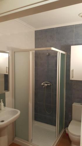 a bathroom with a shower with a toilet and a sink at Apto. En Mundaka in Mundaka