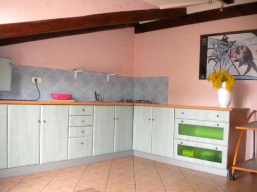 a kitchen with white cabinets and a green oven at Apartments Tajana in Novigrad Istria