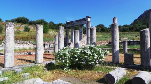 a cemetery with columns and flowers in a field at Villa Finiki Messinia upstairs in Foiníki