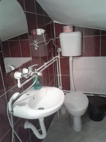 a bathroom with a sink and a toilet at Privatan smestaj knjazevac in Knjazevac.