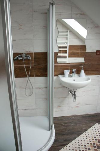 a bathroom with a shower and a sink at Čechův dvůr in Louka