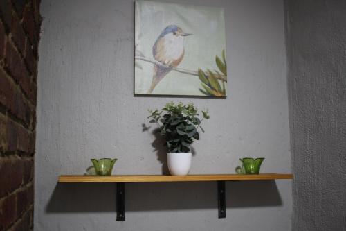 a bird sitting on a shelf with a plant at The Hancock Inn in Klerksdorp