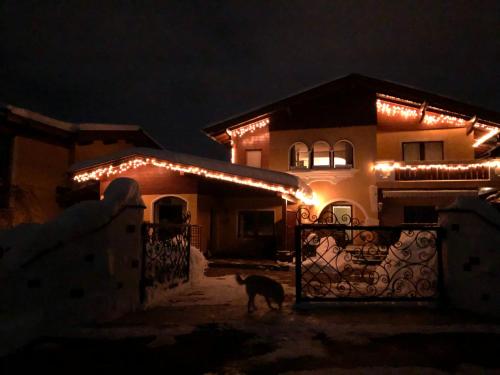 a dog standing in front of a house with lights at M's Wood Appartement in Maishofen