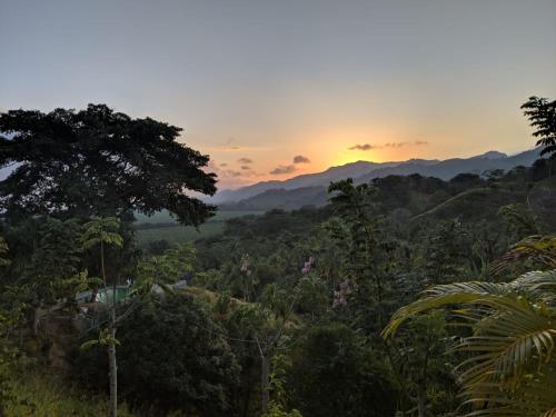 a view of a forest with the sunset in the background at Hostal Brisas del Campo in Guachaca