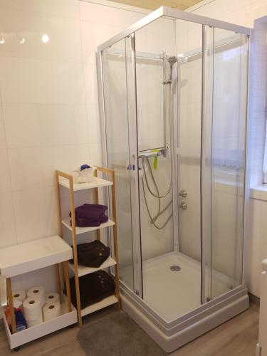 una doccia con box in vetro in un bagno di Lille Villa Severin a Mosterhamn