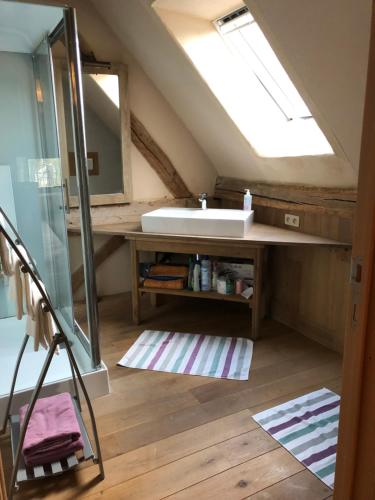 a bathroom with a sink and a mirror at Trommelhoeve Farm Lofts in Boechout