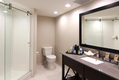 a bathroom with a toilet and a sink and a mirror at The Hotel Hot Springs in Hot Springs